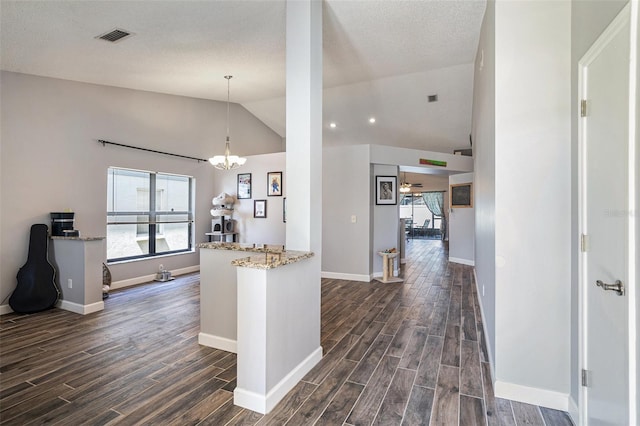 6118 Becklin Pl, Riverview, FL 33578 - kitchen with dark wood-style floors, light stone counters, lofted ceiling, baseboards, and pendant lighting
