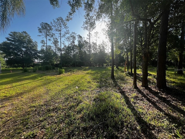 Newberger, Lutz, FL 33549 - photo 2
