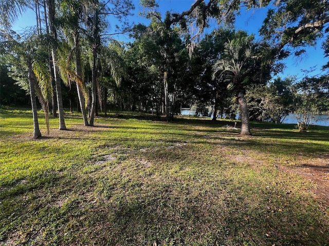 Newberger, Lutz, FL 33549 - photo 3