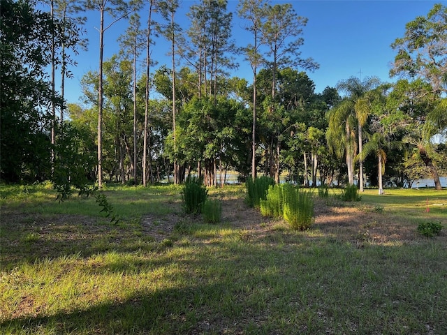Newberger, Lutz, FL 33549 - photo 4