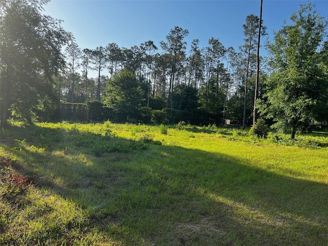 Newberger, Lutz, FL 33549 - photo 5