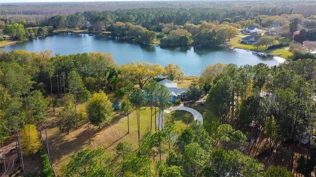 Newberger, Lutz, FL 33549 - photo 1
