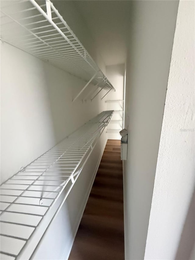 6025 Osprey Lake Cir, Riverview, FL 33578 - spacious closet featuring wood finished floors