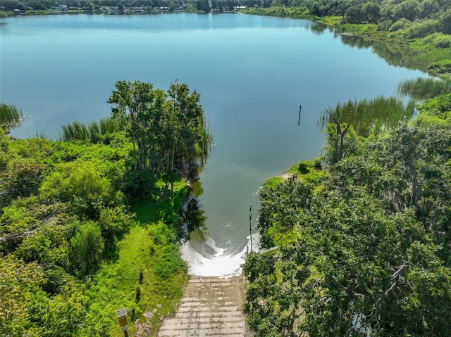 1019 Lakeside Dr, Seffner, FL 33584 - photo 30