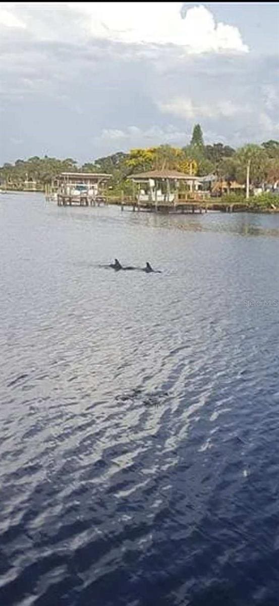 814 Blue Heron Blvd, Ruskin, FL 33570