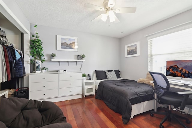 11029 Lynn Lake Cir, Tampa, FL 33625 - bedroom with dark wood-style flooring, ceiling fan, a desk, and a textured ceiling