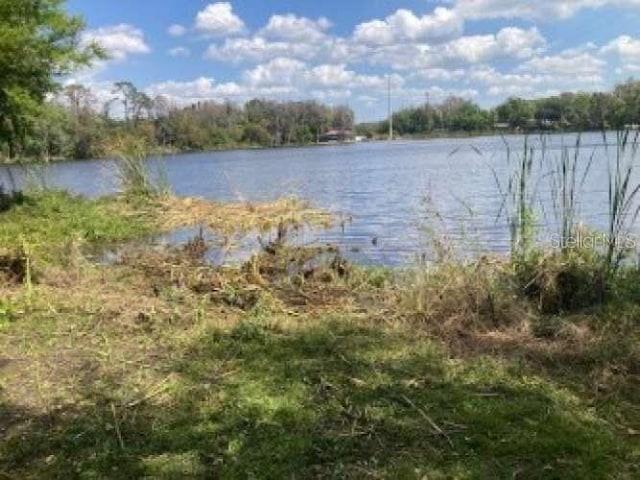 17220 Estes Rd, Lutz, FL 33548 - photo 10