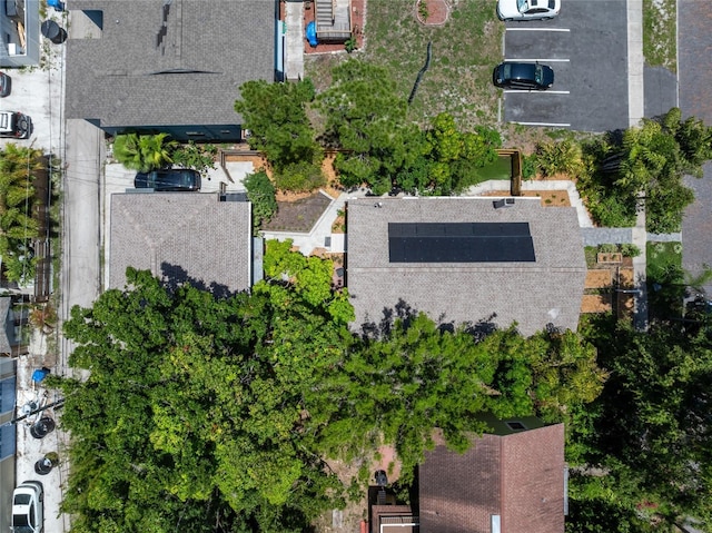 2451 2nd Ave N, Saint Petersburg, FL 33713 - photo 45