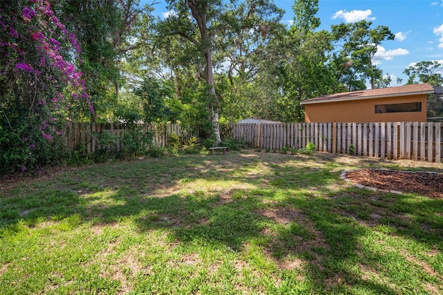 2903 Manor Ridge Pl, Valrico, FL 33596 - view of yard