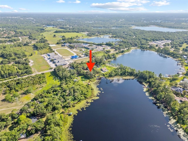 8011 N Mobley Rd, Odessa, FL 33556 - view of property location featuring a nearby body of water and a heavily wooded area