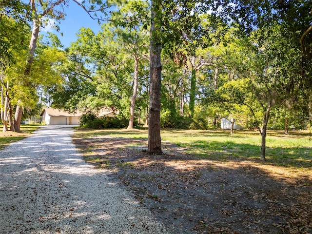 8011 N Mobley Rd, Odessa, FL 33556 - obstructed view of property featuring a detached garage