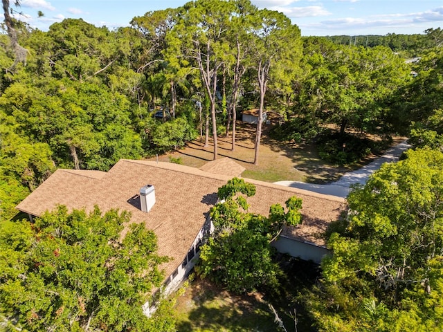 8011 N Mobley Rd, Odessa, FL 33556 - view of subject property featuring a forest