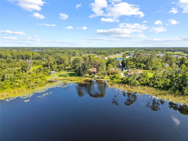 8011 N Mobley Rd, Odessa, FL 33556 - drone / aerial view of a forest and a large body of water