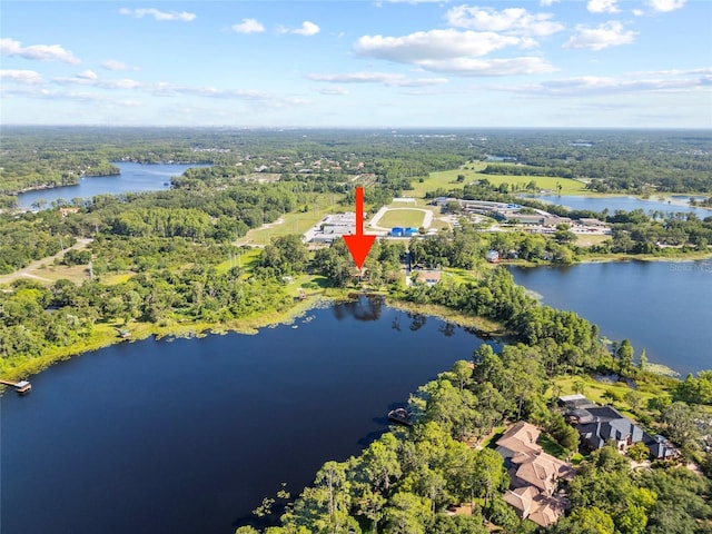 8011 N Mobley Rd, Odessa, FL 33556 - view of property location featuring a heavily wooded area and a large body of water