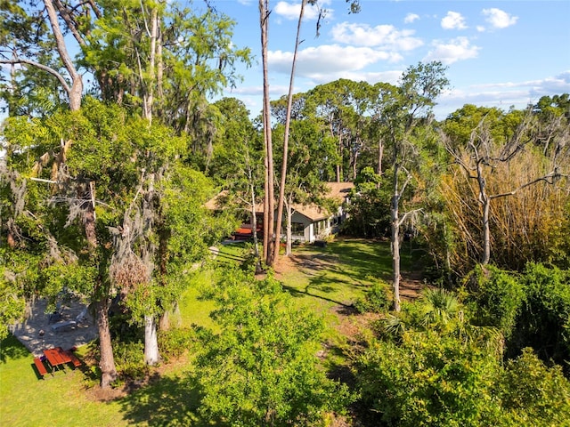 8011 N Mobley Rd, Odessa, FL 33556 - view of green lawn