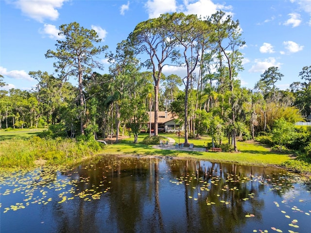 8011 N Mobley Rd, Odessa, FL 33556 - water view with a tree filled landscape