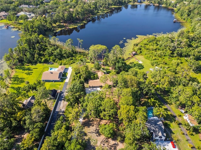 8011 N Mobley Rd, Odessa, FL 33556 - drone / aerial view of a large body of water