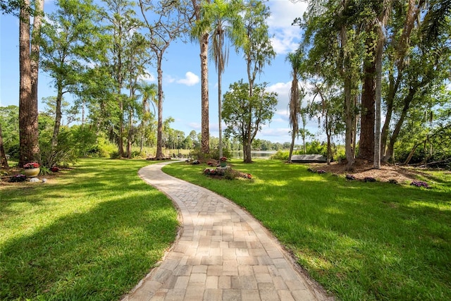 8011 N Mobley Rd, Odessa, FL 33556 - photo 25