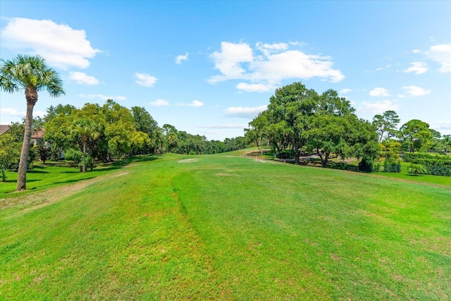 1570 Marinella Dr, Palm Harbor, FL 34683 - photo 49