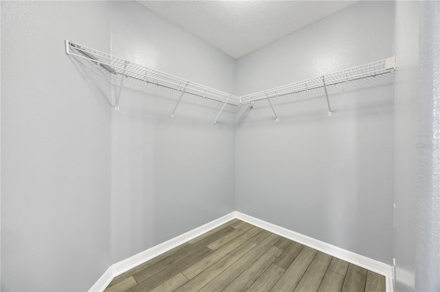 spacious closet featuring wood finished floors