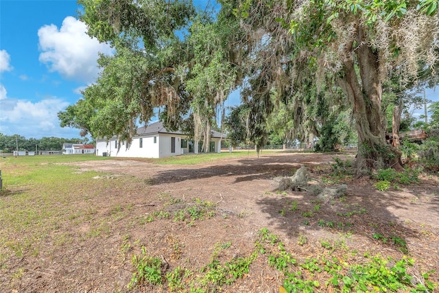 11921 Fort King Hwy, Thonotosassa, FL 33592 - view of yard