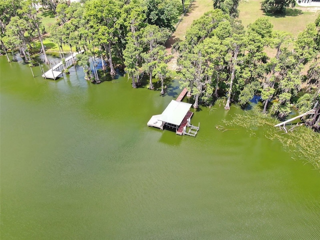 11921 Fort King Hwy, Thonotosassa, FL 33592 - aerial view of a tree filled landscape