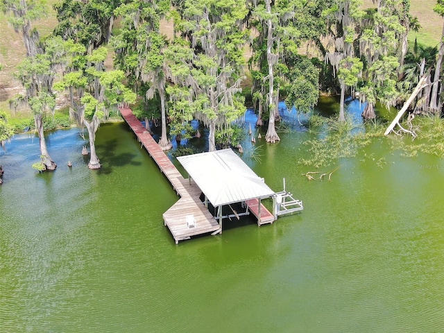 11921 Fort King Hwy, Thonotosassa, FL 33592 - dock with boat lift