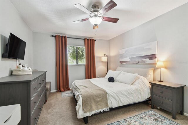5705 Baywater Dr Unit 5705, Tampa, FL 33615 - photo 11