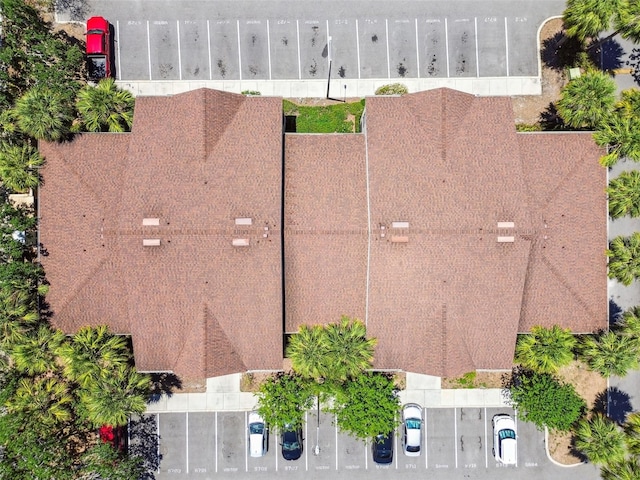 5705 Baywater Dr Unit 5705, Tampa, FL 33615 - photo 24