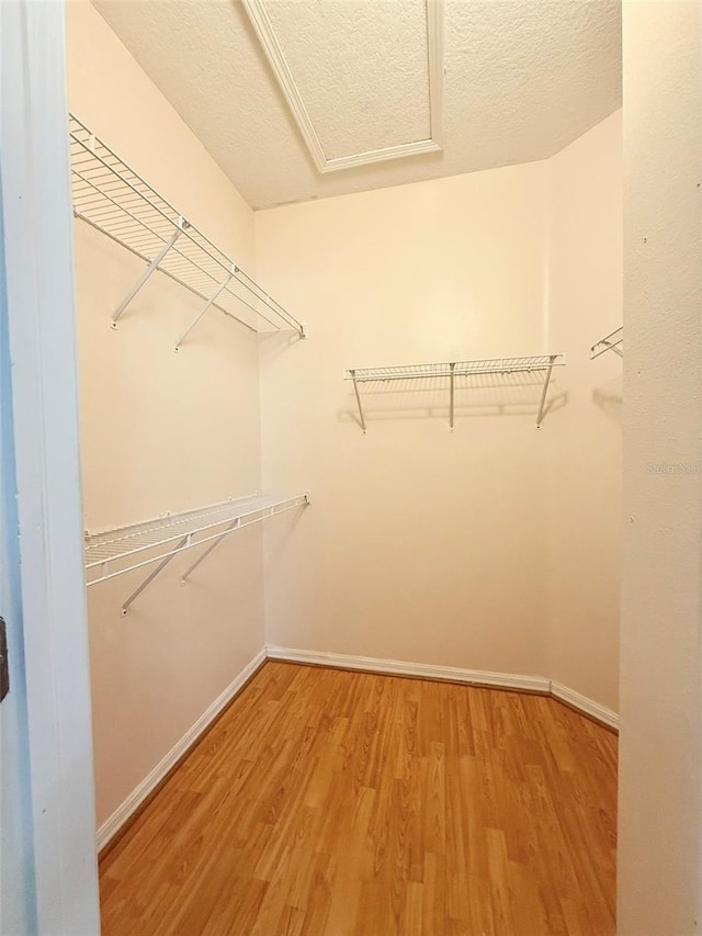 15922 Fishhawk Creek Ln, Lithia, FL 33547 - walk in closet with light wood finished floors