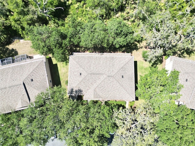 15922 Fishhawk Creek Ln, Lithia, FL 33547 - view from above of property