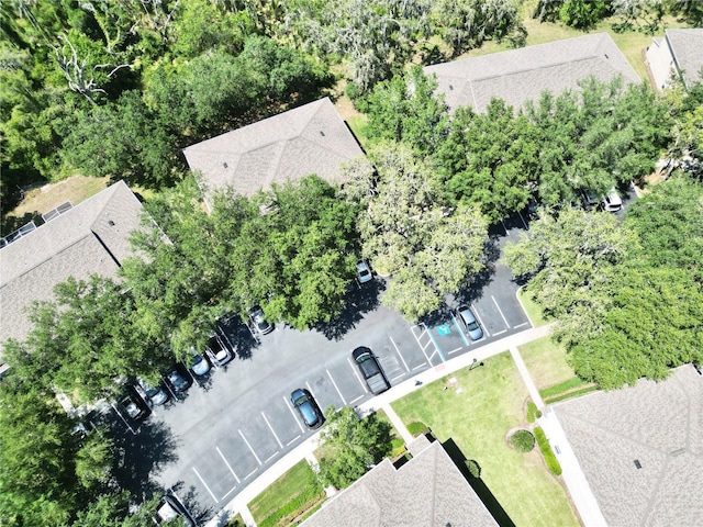 15922 Fishhawk Creek Ln, Lithia, FL 33547 - aerial view