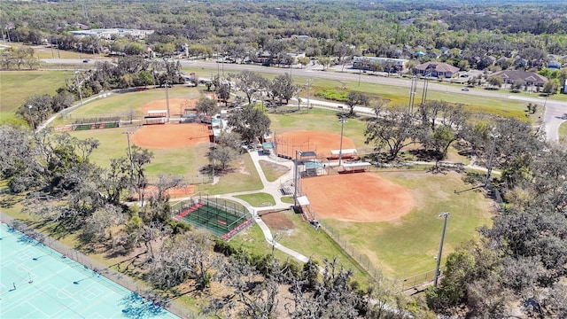 15922 Fishhawk Creek Ln, Lithia, FL 33547 - aerial view