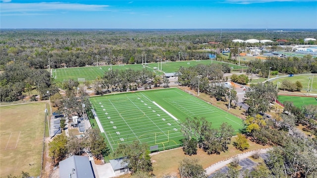 15922 Fishhawk Creek Ln, Lithia, FL 33547 - bird's eye view