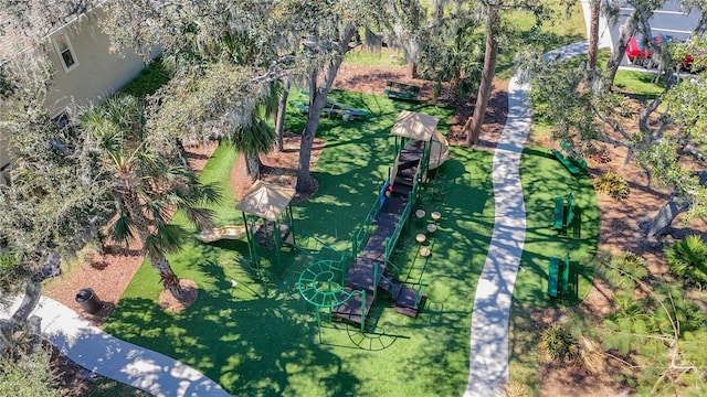 15922 Fishhawk Creek Ln, Lithia, FL 33547 - aerial view