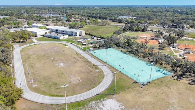 15922 Fishhawk Creek Ln, Lithia, FL 33547 - bird's eye view