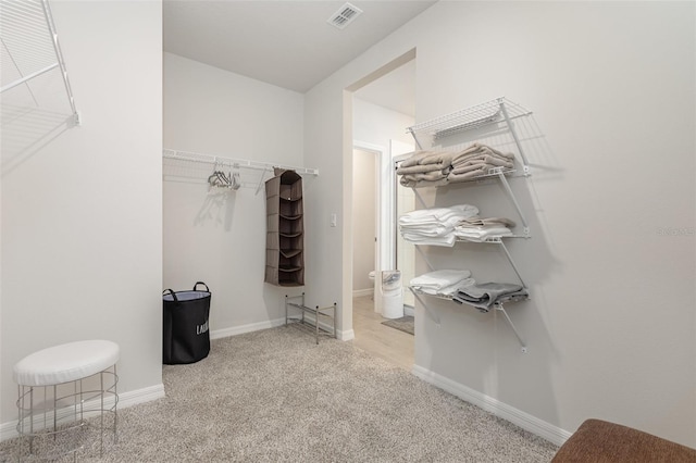 7119 Amelia River Dr, Parrish, FL 34219 - spacious closet with carpet