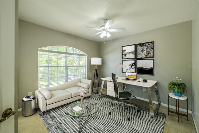 7852 Stoney Hill Dr, Wesley Chapel, FL 33545 - carpeted office space with a ceiling fan and baseboards
