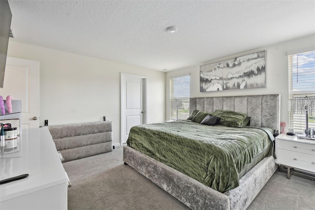 bedroom featuring carpet flooring, multiple windows, and a textured ceiling