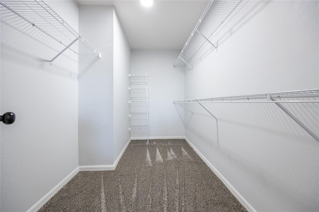 14384 NW 160th Ln, Alachua, FL 32615 - walk in closet featuring carpet flooring