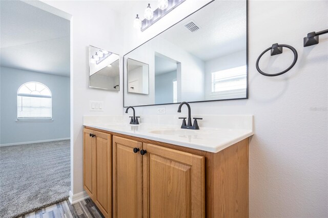 14384 NW 160th Ln, Alachua, FL 32615 - bathroom featuring double vanity, baseboards, and wood finished floors