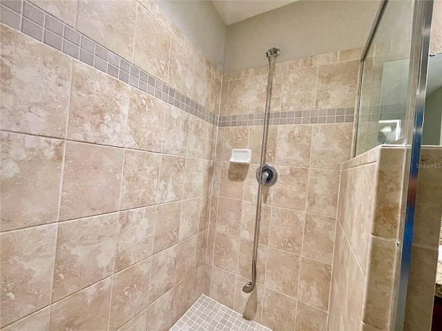 6376 SW 117th Street Rd, Ocala, FL 34476 - full bath featuring tiled shower
