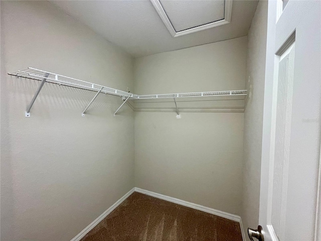 6376 SW 117th Street Rd, Ocala, FL 34476 - walk in closet featuring dark carpet