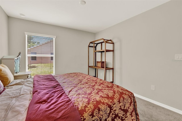 6376 SW 117th Street Rd, Ocala, FL 34476 - bedroom featuring light carpet and baseboards