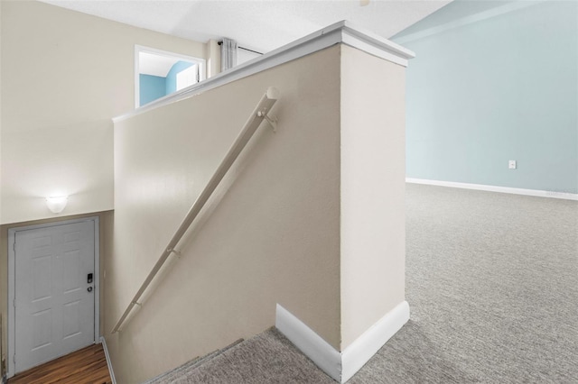 10511 Waterview Ct Unit 10511, Tampa, FL 33615 - stairs with carpet and baseboards