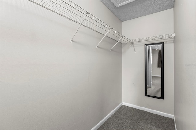 10511 Waterview Ct Unit 10511, Tampa, FL 33615 - walk in closet featuring dark colored carpet