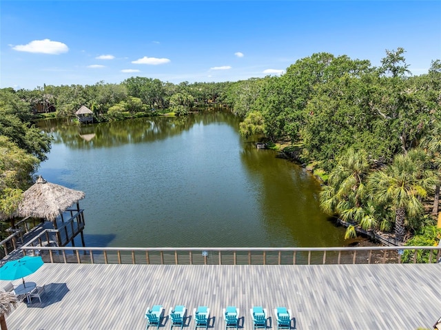 10511 Waterview Ct Unit 10511, Tampa, FL 33615 - water view