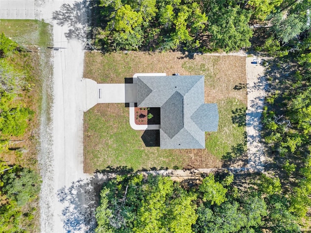16247 Little Auk Rd, Weeki Wachee, FL 34614 - aerial view of property and surrounding area