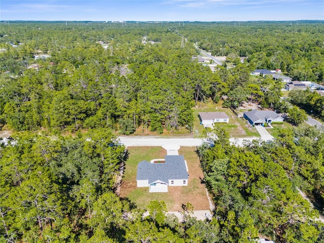 16247 Little Auk Rd, Weeki Wachee, FL 34614 - aerial view of a forest
