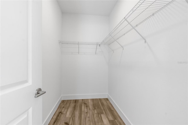 16247 Little Auk Rd, Weeki Wachee, FL 34614 - walk in closet featuring wood finished floors